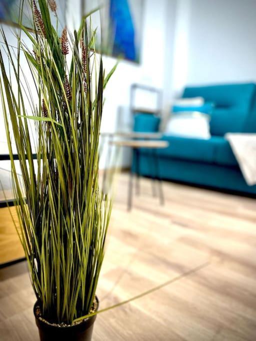Mychoice Salmarina Appartement Rota